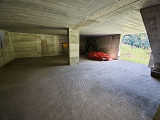 IMG_20240928_110329_compressed
