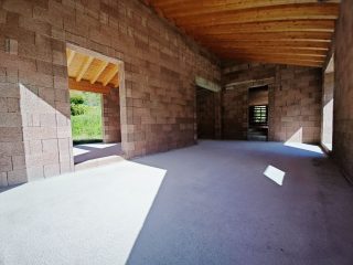 IMG_20240928_110458_compressed