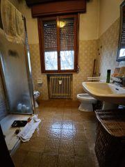 IMG_20241204_154608