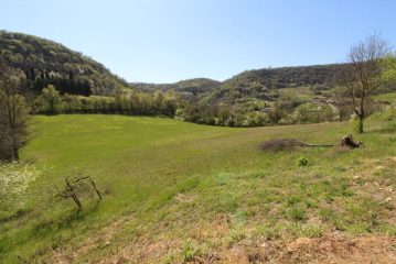 IMG_4696