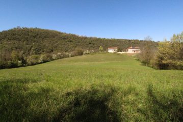 IMG_4698_compressed